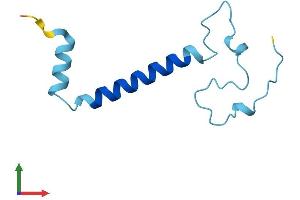 AlphaFold protein structure predicition of Human Recombinant NDUFA4L2 Protein, UniprotID Q9NRX3 (NDUFA4L2 Protein (AA 1-87) (Fc Tag))