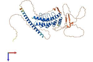 GABPB2 Protein (AA 1-448) (His tag)