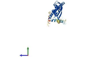 AlphaFold protein structure predicition of Mouse Recombinant Stom Protein, UniprotID P54116 (Stomatin Protein (STOM) (AA 1-284) (His tag))