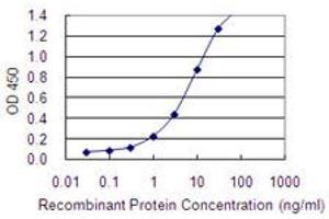 Detection limit for recombinant GST tagged EML2 is 0. (EML2 Antikörper  (AA 1-427))