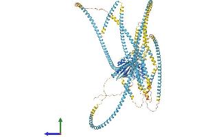 Protein Structure (PS) image for Kinesin Family Member 15 (KIF15) (AA 1-1388) protein (His tag) (ABIN7554310)
