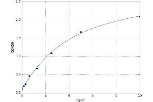 A typical standard curve