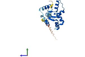 Protein Structure (PS) image for Myosin, Light Chain 12B, Regulatory (MYL12B) (AA 1-172) protein (His tag) (ABIN7549466)