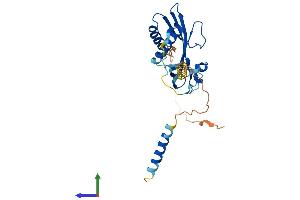AlphaFold protein structure predicition of Human Recombinant RTP1 Protein, UniprotID P59025