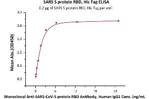 Immobilized SARS S protein RBD, His Tag (ABIN6952627) at 2 μg/mL (100 μL/well) can bind Monoclonal Anti-SARS-CoV-S protein RBD Antibody, Human IgG1 with a linear range of 0.