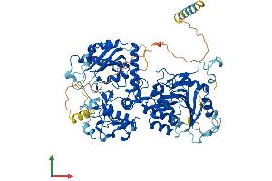 Protein Structure (PS) image for Exostosin 1 (EXT1) (AA 1-746) protein (His tag) (ABIN7556813)