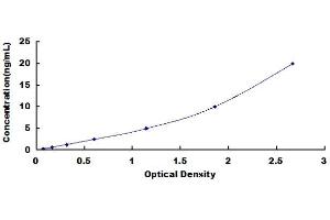 Toll-Like Receptor 9 (TLR9) ELISA Kit