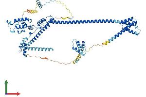 Protein Structure (PS) image for DnaJ (Hsp40) Homolog, Subfamily C, Member 2 (DNAJC2) (AA 1-621) protein (His tag) (ABIN7563444)