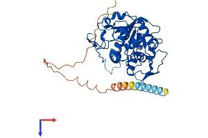 ST8SIA2 Protein (AA 1-375) (His tag)