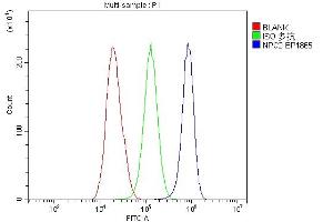 Flow Cytometry analysis of HepG2 cells using anti-NPC2 antibody (ABIN7600520).