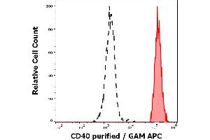 Separation of human CD40 positive lymphocytes (red-filled) from neutrophil granulocytes (black-dashed) in flow cytometry analysis (surface staining) of human peripheral whole blood stained using anti-human CD40 (HI40a) purified antibody (concentration in sample 0. (CD40 Antikörper)