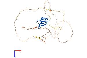 RBM9 Protein (AA 1-449) (His tag)