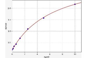 CDK5 ELISA Kit