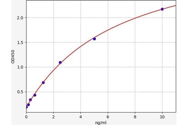 CDK5 ELISA Kit