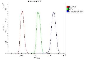 Flow Cytometry analysis of K562 cells using anti-SMAD2 antibody (ABIN6719361). (SMAD2 Antikörper  (AA 83-264))