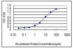 ELISA image for anti-Hemoglobin beta (HBB) (AA 38-148) antibody (ABIN614613) (Hemoglobin Subunit beta Antikörper  (AA 38-148))