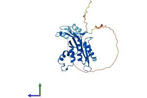 Protein Structure (PS) image for Ribonuclease H1 (RNASEH1) (AA 1-285) protein (His tag) (ABIN7562538)