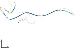 AlphaFold protein structure predicition of Mouse Recombinant Cep89 Protein, UniprotID Q9CZX2