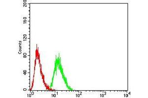 Flow Cytometry (FACS) image for anti-Synapsin I (SYN1) (AA 362-511) antibody (ABIN5542390)