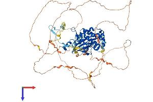 PAK7 Protein (AA 1-719) (His tag)