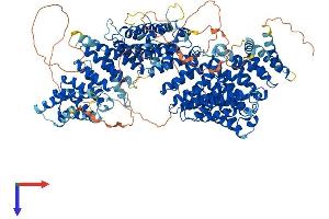 HEATR6 Protein (AA 1-1181) (His tag)