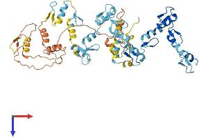 ZNF695 Protein (AA 1-515) (His tag)