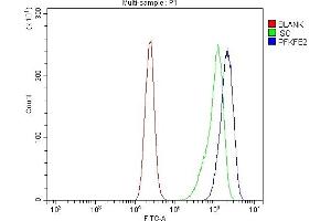 Flow Cytometry analysis of CACO-2 cells using anti-PFKFB2 antibody (ABIN7601627). (PFKFB2 Antikörper  (AA 4-505))