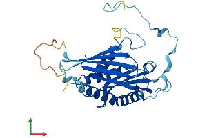 Protein Structure (PS) image for Exosome Component 6 (EXOSC6) (AA 1-273) protein (His tag) (ABIN7564424)