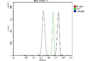 Flow Cytometry analysis of ANA-1 cells using anti-TMEM65 antibody (ABIN7603101). (TMEM65 Antikörper  (Middle Region))