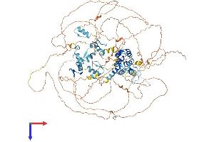 AlphaFold protein structure predicition of Mouse Recombinant Bnc2 Protein, UniprotID Q8BMQ3