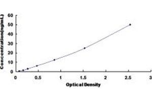 Typical standard curve (WWP2 ELISA Kit)