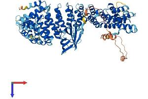 AP1G2 Protein (AA 1-785) (His tag)