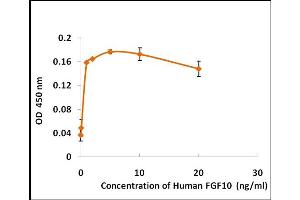 Activity Assay (AcA) image for Fibroblast Growth Factor 10 (FGF10) (Active) protein (ABIN5509306) (FGF10 Protein)