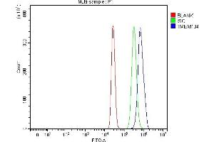 Flow Cytometry analysis of HepG2 cells using anti-TMEM104 antibody (ABIN7602596). (TMEM104 Antikörper  (AA 88-448))