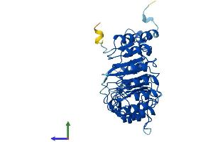 Protein Structure (PS) image for F-Box and Leucine-Rich Repeat Protein 14 (FBXL14) (AA 1-400) protein (His tag) (ABIN7558673)