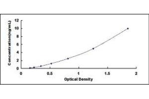 Typical standard curve (VPS37A ELISA Kit)