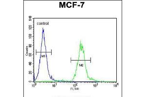 Flow cytometric analysis of MCF-7 cells (right histogram) compared to a negative control cell (left histogram). (AVPI1 Antikörper  (N-Term))