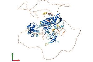 AlphaFold protein structure predicition of Mouse Recombinant Plekhm2 Protein, UniprotID Q80TQ5