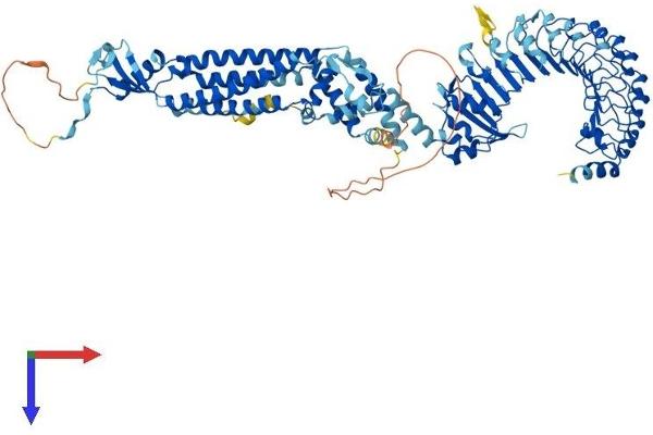 LRRC8A Protein (AA 1-810) (His tag)