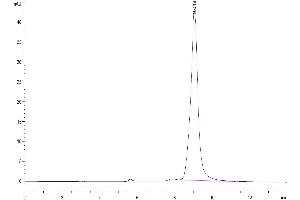 Size-exclusion chromatography-High Pressure Liquid Chromatography (SEC-HPLC) image for Secretory Leukocyte Peptidase Inhibitor (SLPI) (AA 26-132) protein (Fc Tag) (ABIN7275627)