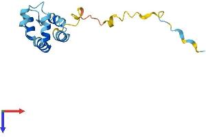 PEA15 Protein (AA 1-130) (His tag)