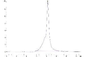 Size-exclusion chromatography-High Pressure Liquid Chromatography (SEC-HPLC) image for Desmoglein 2 (DSG2) (AA 50-609) protein (His tag) (ABIN7274500)