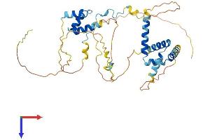 CUEDC1 Protein (AA 1-386) (His tag)