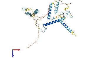 MBIP Protein (AA 1-341) (His tag)