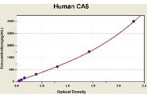 Diagramm of the ELISA kit to detect Human CA6with the optical density on the x-axis and the concentration on the y-axis. (CA6 ELISA Kit)