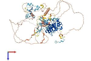 LPIN3 Protein (AA 1-851) (His tag)