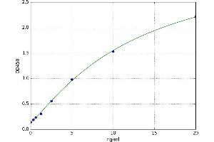 Keratin 1 (KRT1) ELISA Kit