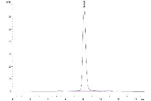 Size-exclusion chromatography-High Pressure Liquid Chromatography (SEC-HPLC) image for Interleukin 18 Receptor 1 (IL18R1) (AA 19-329) protein (His-Avi Tag) (ABIN7274978)