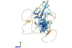 Protein Structure (PS) image for serologically Defined Colon Cancer Antigen 1 (SDCCAG1) (AA 1-1064) protein (His tag) (ABIN7564538)