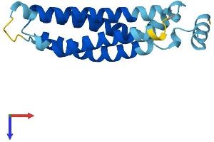 TMEM138 Protein (AA 1-162) (His tag)
